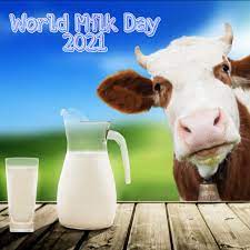 Wesoła krowa światowy dzień mleka 2021